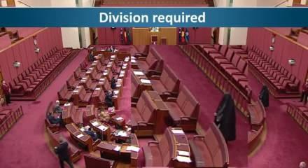 Avustralyalı senatör Hanson kara çarşafla Senato’ya girip yasak çağrısı yaptı