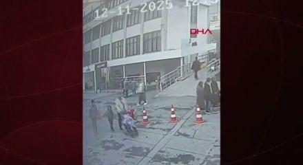 Böcek ailesinin yeni görüntüleri ortaya çıktı