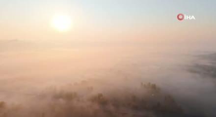 Diyarbakır'da yoğun sis