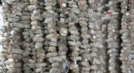 Gaziantep'te kışın vazgeçilmezi kuru bamya 2 bin TL'den tezgahta