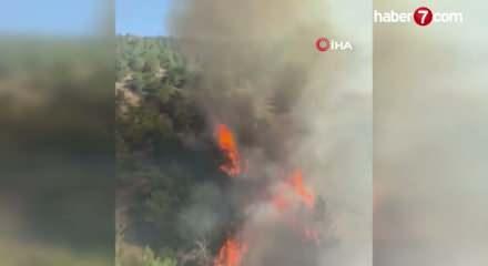 Hatay’ın Belen ilçesinde orman yangını
