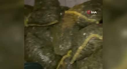 İstanbul Boğazı'nda kaçakçılara operasyon!