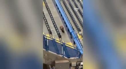 Şampiyonlar Ligi maçı öncesi 'Tilki' paniği!