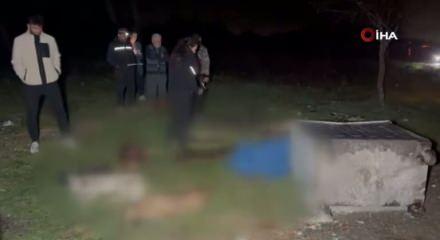 Samsun'da çöp konteynerinde 9 telef olmuş köpek bulundu