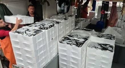 Tekirdağ'da tayfalar mutlu: Yüzlerce kasa balık yakalandı