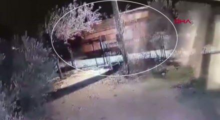 Yok artık dedirten hırsızlık! ‘Tiny House' hırsızı kıskvırak yakalandı