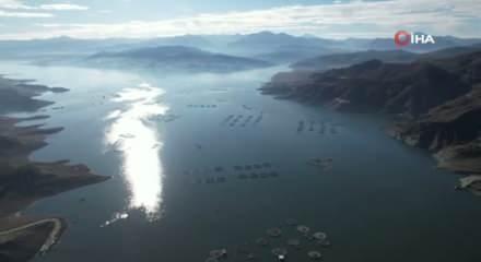 Denizi olmayan Tokat’ın somonları dünya sofralarına ulaşıyor