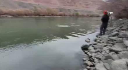 Elazığ'da 60 kiloluk turna balığı yakalandı