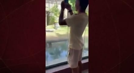 Hayvanat bahçesindeki korkunç anlar: Aslanın bulduğu kafese girdi