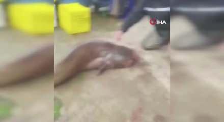 Hırsız kocası çıktı! Altınları çalınan kadının şok üstüne şok yaşadı