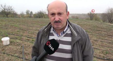 Malatya'da gramı 600 TL olan safran yok satıyor