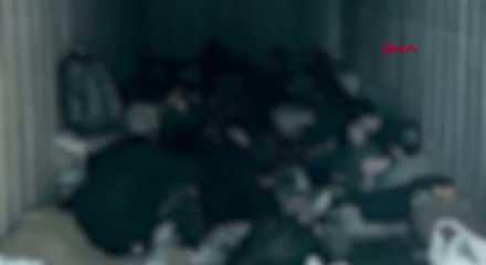 Mersin Limanı'nda 44 yabancı uyruklu şahıs yakalandı