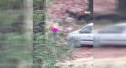 Ormanda kadını döven şahıs kaçamadan yakalandı