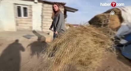 İstanbul'dan köyüne dönüp hayvancılığa başlayan kadın 3 yılda sürüsünü 4'e katladı