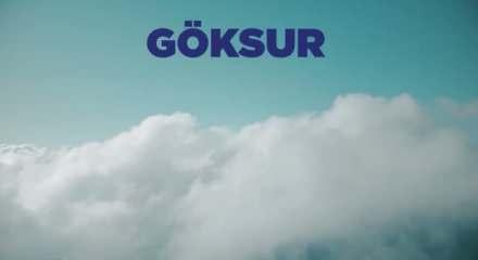 Denizlerin koruyucusu: ASELSAN GÖKSUR