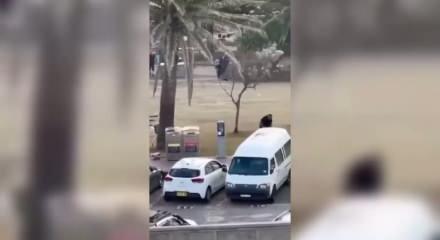 Silah tecrübesi olmayan manav Avustralya'da kahraman oldu: Çıplak elle destan yazdı!