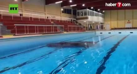 Fransa'da 'yok artık' dedirten kaza! Frenle gazı karıştırdı, arabayla havuza uçtu