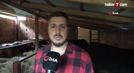 "Almanya'da robot olacağıma çoban olurum" diyerek memleketine döndü