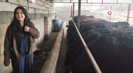 Atama bekleyen Asena, devlet desteğiyle hayvancılığa başladı