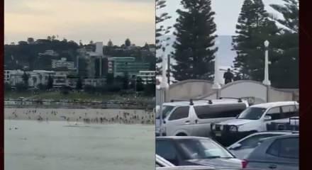 Avustralya güne silahlı saldırıyla uyandı! Çok sayıda kişi hayatını kaybetti