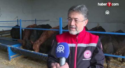 Bakan Yumaklı açıkladı: Hayvanlar sahiplerine ulaşıyor