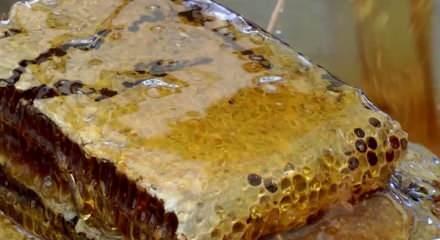 Bal dolandırıcıların yeni gözdesi oldu, uzmanlar uyarılarda bulundu