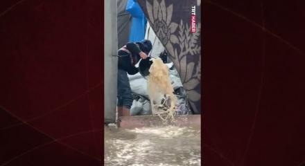 Gazze'de şiddetli yağış nedeniyle binlerce çadır su altında kaldı