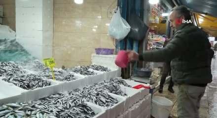 Hamsinin fiyatı 200 TL'ye çıktı