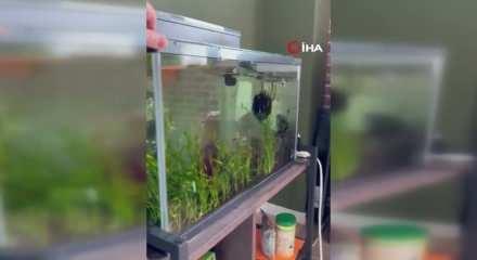 Japonya’da 6.7 büyüklüğünde deprem meydana geldi, tsunami uyarısı yapıldı