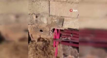 Kaçak elektrik denetiminde gizli kripto üretim tesisi ortaya çıktı