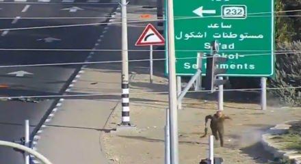 Mossad'ın yeni patronu Lofman İsrail’de Kassam mücahidlerinden böyle kaçtı! 7 Ekim’den yeni görüntü