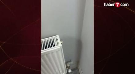 Petek tamirine giden usta hayatının şokunu yaşadı: Tesisat duvara saplanmış borulardan ibaret çıktı