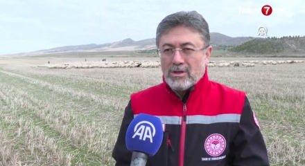 Tiftik için yeni dönem: Özel destek geliyor