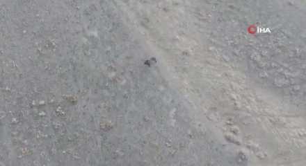 Tunceli'de kaçak avcılığa büyük ceza!