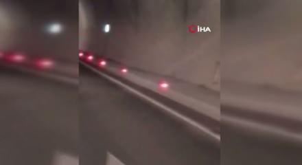 Tünele giren 3 ayı az kalsın kazaya neden oluyordu