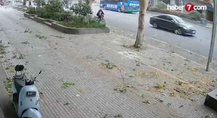 &Ccedil;in'de talihsiz kaza: Bisikletli yaşlı adamın &uuml;zerine ağa&ccedil; dalı d&uuml;şt&uuml;
