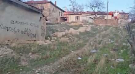 Bağlı k&ouml;pek &ccedil;ocuklara saldırdı: 14 yaşındaki &ccedil;ocuk ağır yaralandı