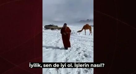 Beyaz rahmet Arabistan'a yağdı! İşte b&ouml;lge halkını şaşırtan kar yağışı