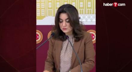 DEM Partili Ko&ccedil;yiğit: "Silahların susması bir sonu&ccedil; değil, başlangı&ccedil;tır"