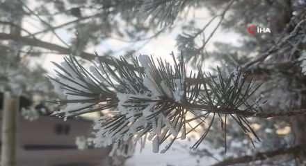 G&ouml;le, eksi 16 dereceyi g&ouml;rd&uuml;, ağa&ccedil;lar kırağı tuttu