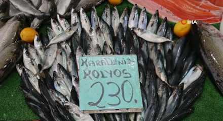 Havalar soğudu Elazığ'da balığa ilgi arttı!