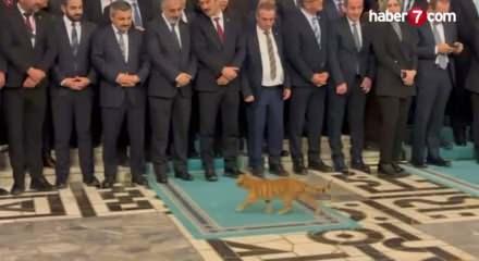 Bakan Memişoğlu ve ekibini gülümseten davetsiz misafir kamerada