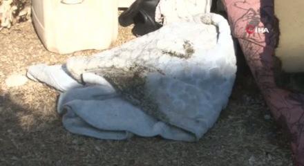 Şanlıurfa&rsquo;da esrarengiz yangınlar: 2 aylık bebek yaralandı