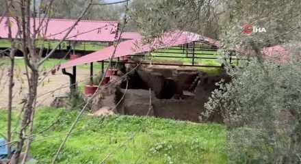 Tarla gece g&uuml;nd&uuml;z korunuyor! Bilinen tek &ouml;rnek g&uuml;n y&uuml;z&uuml;ne &ccedil;ıkarıldı