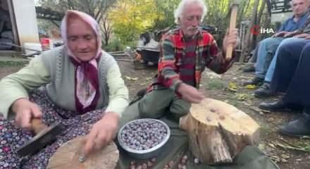 Torosların zirvesinden gelen mucize! Kilosu 500 lira: Yok satıyor