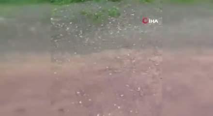 Derince'de sahipsiz sokak k&ouml;pekleri dehşet sa&ccedil;maya devam ediyor