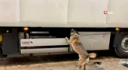  Edirne Kapıkule G&uuml;mr&uuml;k sahasında d&uuml;zenlenen operasyonda 31 kilogram kokain ele ge&ccedil;irildi