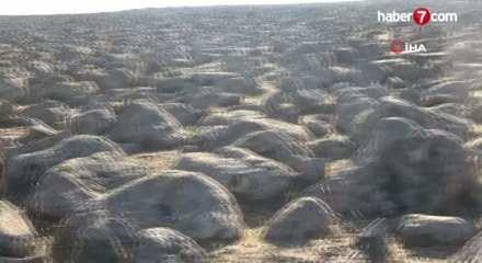 Ekonomiye 350 milyon lira akacak! Taş gibi g&ouml;r&uuml;nen yerden servet &ccedil;ıktı