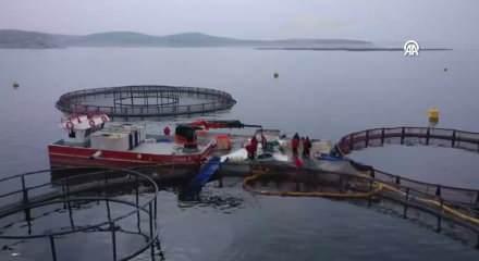 Elazığ&rsquo;da siyah havyar &uuml;retim &uuml;ss&uuml; hedefi