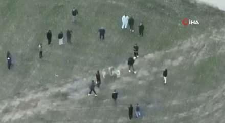 Horoz, kaz derken sıra k&ouml;peklere geldi: 19 kişi hakkında işlem yapıldı!